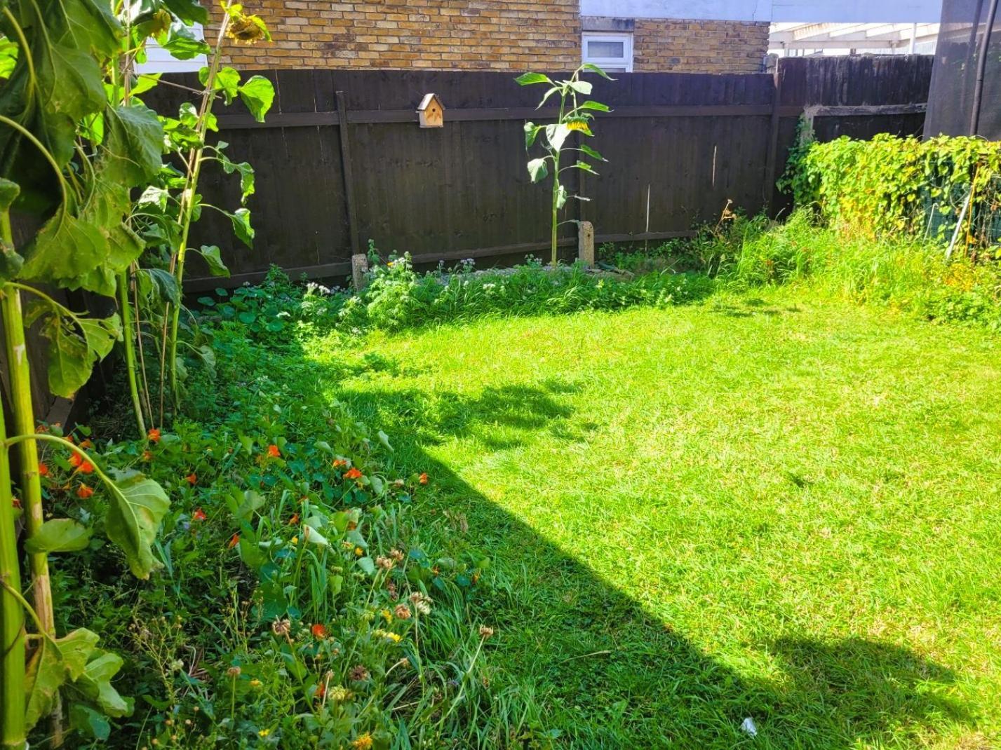 Home Sweet Home! London Bagian luar foto